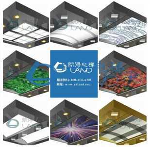 朗得电梯电梯吊顶装潢效果赏析【5】